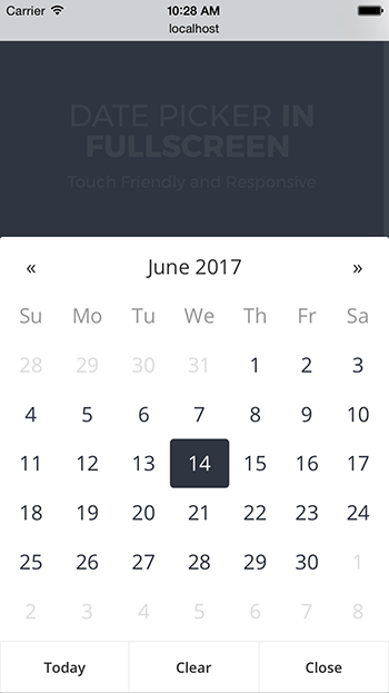 date-picker-in-fullscreen-jquery-plugin-best-deals-for-everyone